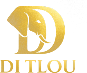 Di Tlou Catering Services